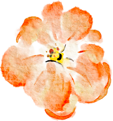 Watercolor Orange Flower